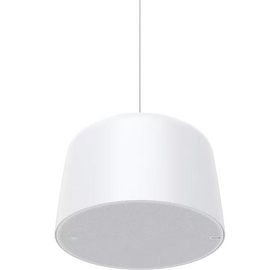 AXIS C1510 Network Pendant Speaker (02389-001) – PoE Network Audio Speaker for V...