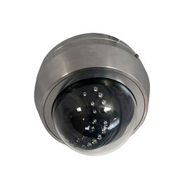 Genie SSAHD2D : AHD 2MP Stainless Steel IR Vandal Dome Camera